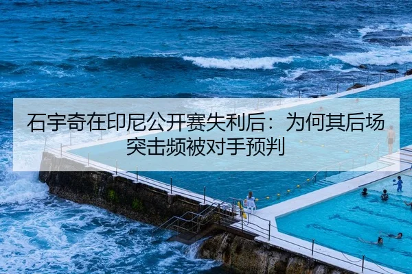 石宇奇在印尼公开赛失利后：为何其后场突击频被对手预判（nine game）