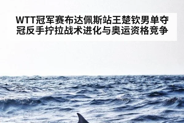 WTT冠军赛布达佩斯站王楚钦男单夺冠反手拧拉战术进化与奥运资格竞争(nine game)